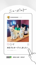 保護猫譲渡施設-ニャンくるないさ - 未来ケアグループ